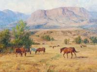 Horses in Pasture