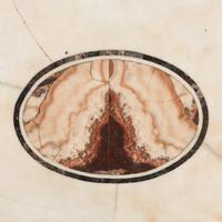 An Italian Specimen Marble Table Top