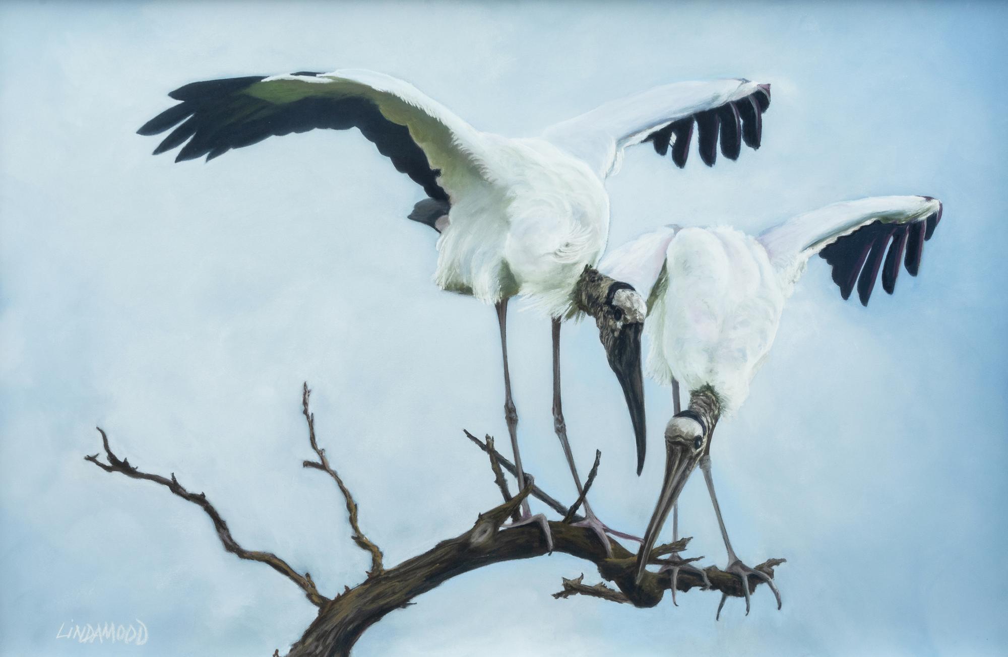 Woodstork Inspection , 2010