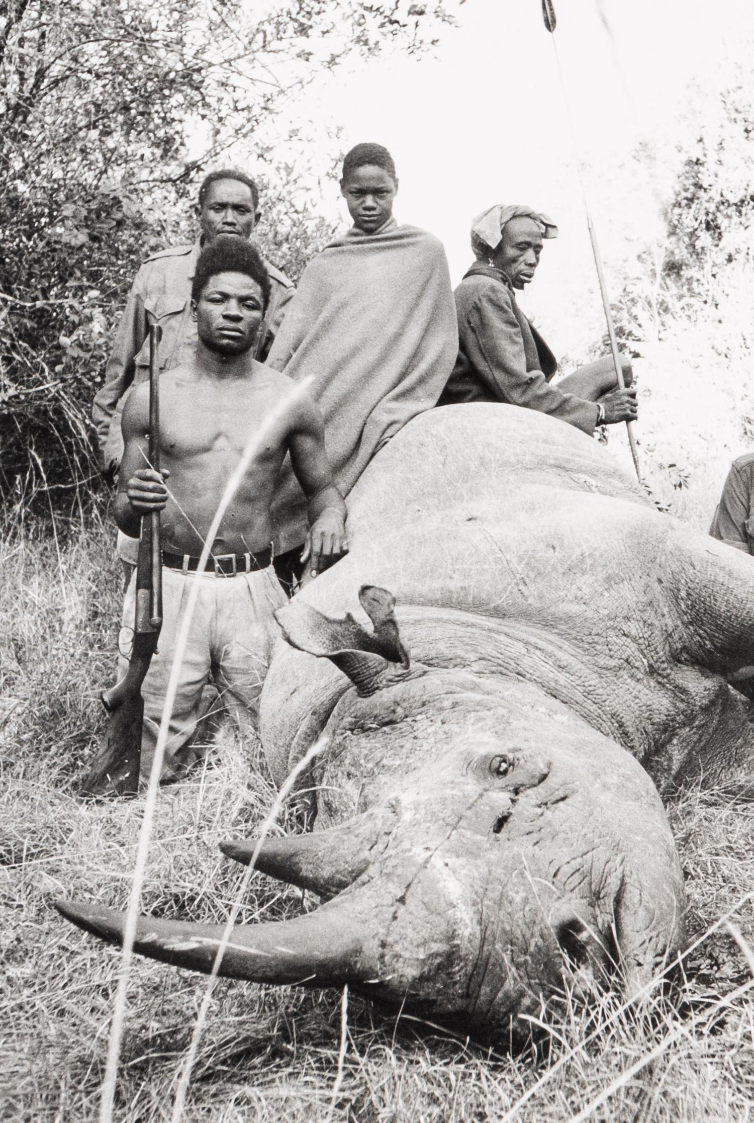 Peter Beard (1938-2020) Lariak Estate cattle-killer that went berserk and harmed 4 cows and a herd-boy, 1965