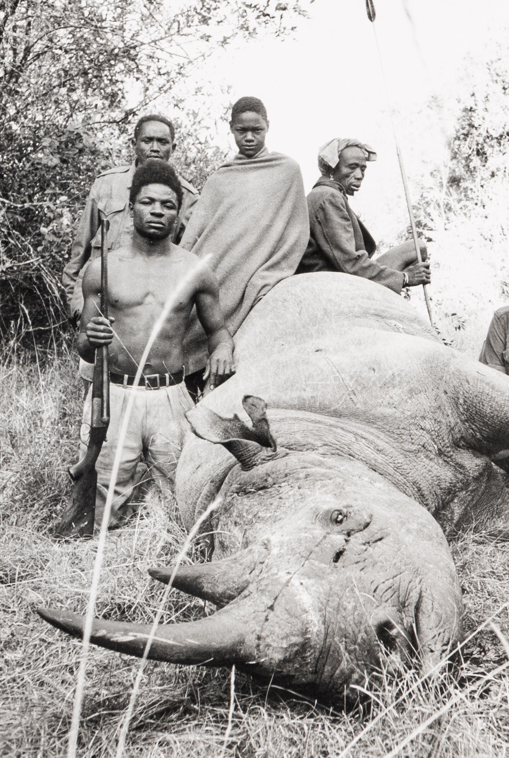 Peter Beard (1938-2020) Lariak Estate cattle-killer that went berserk and harmed 4 cows and a herd-boy, 1965