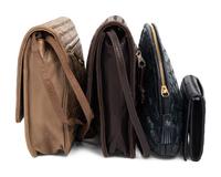 Three Bottega Veneta Intrecciato Bags and One Wallet