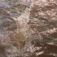 Splashed Water Echo Park #3
