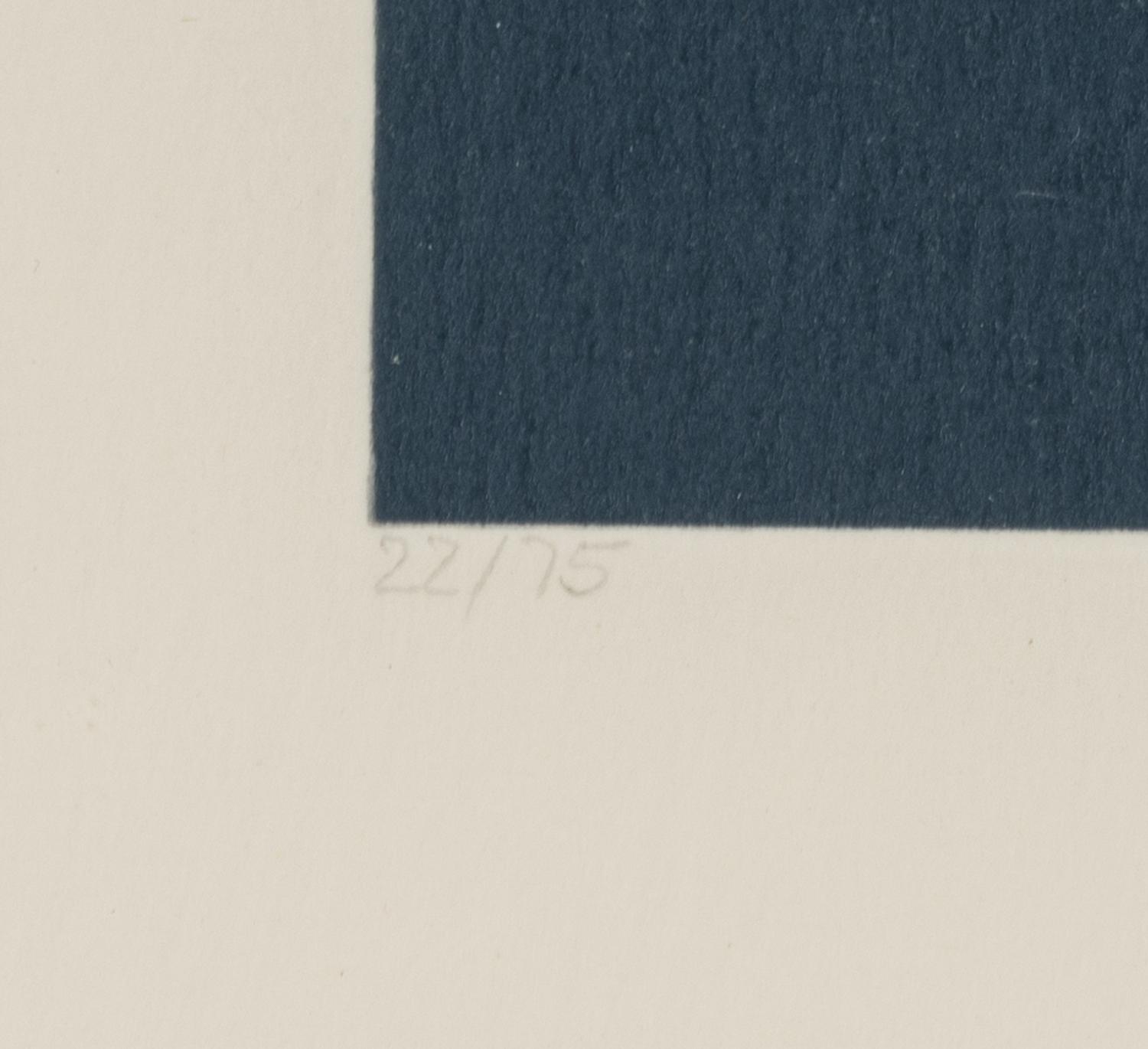Danbury Tile (from Urban Landscapes ), 1972