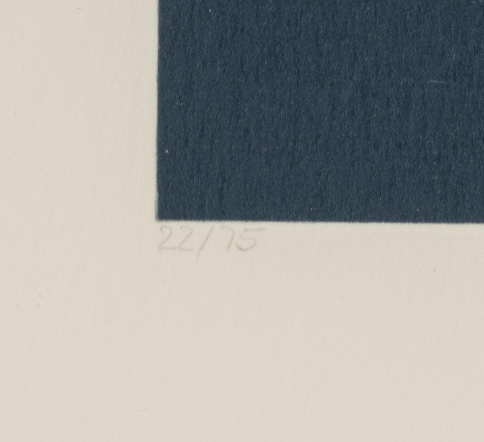 Danbury Tile (from Urban Landscapes ), 1972