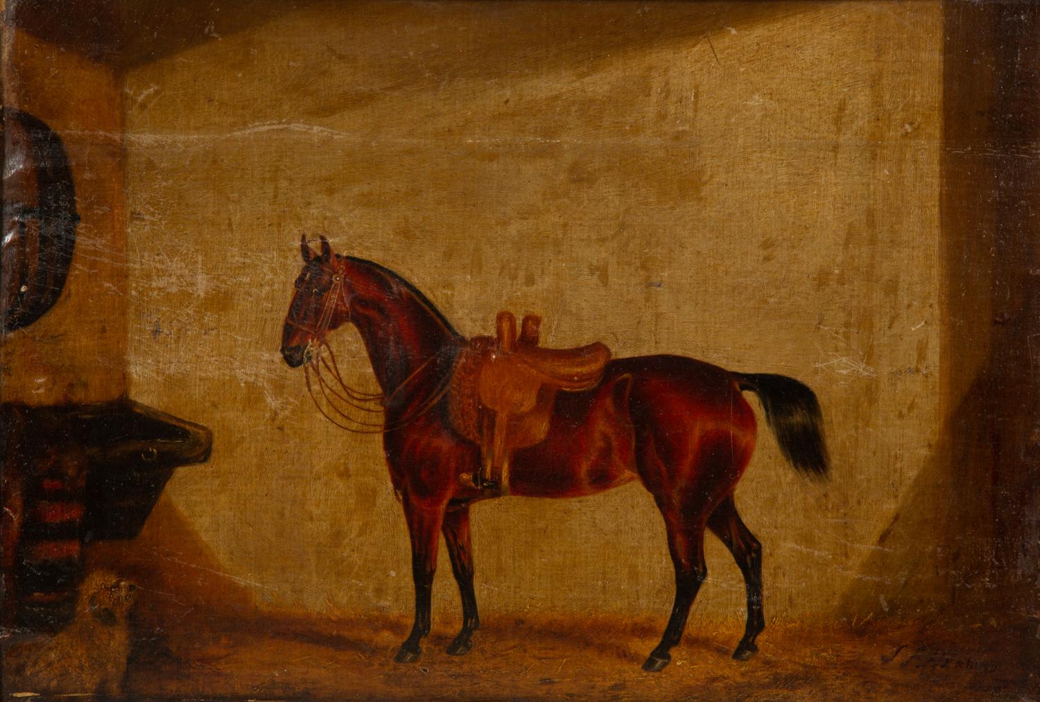 A Saddled Bay Horse in a Stable