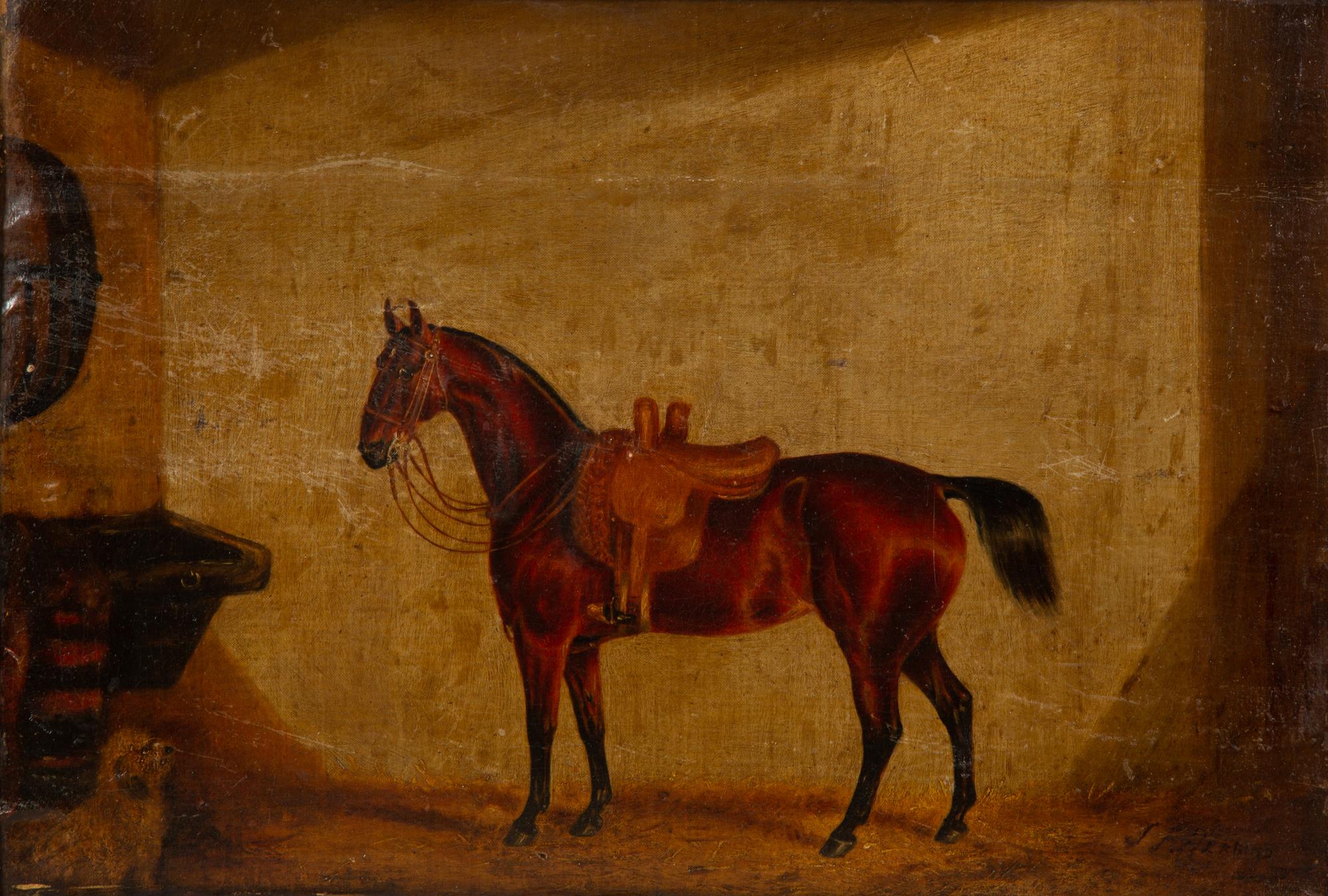 A Saddled Bay Horse in a Stable