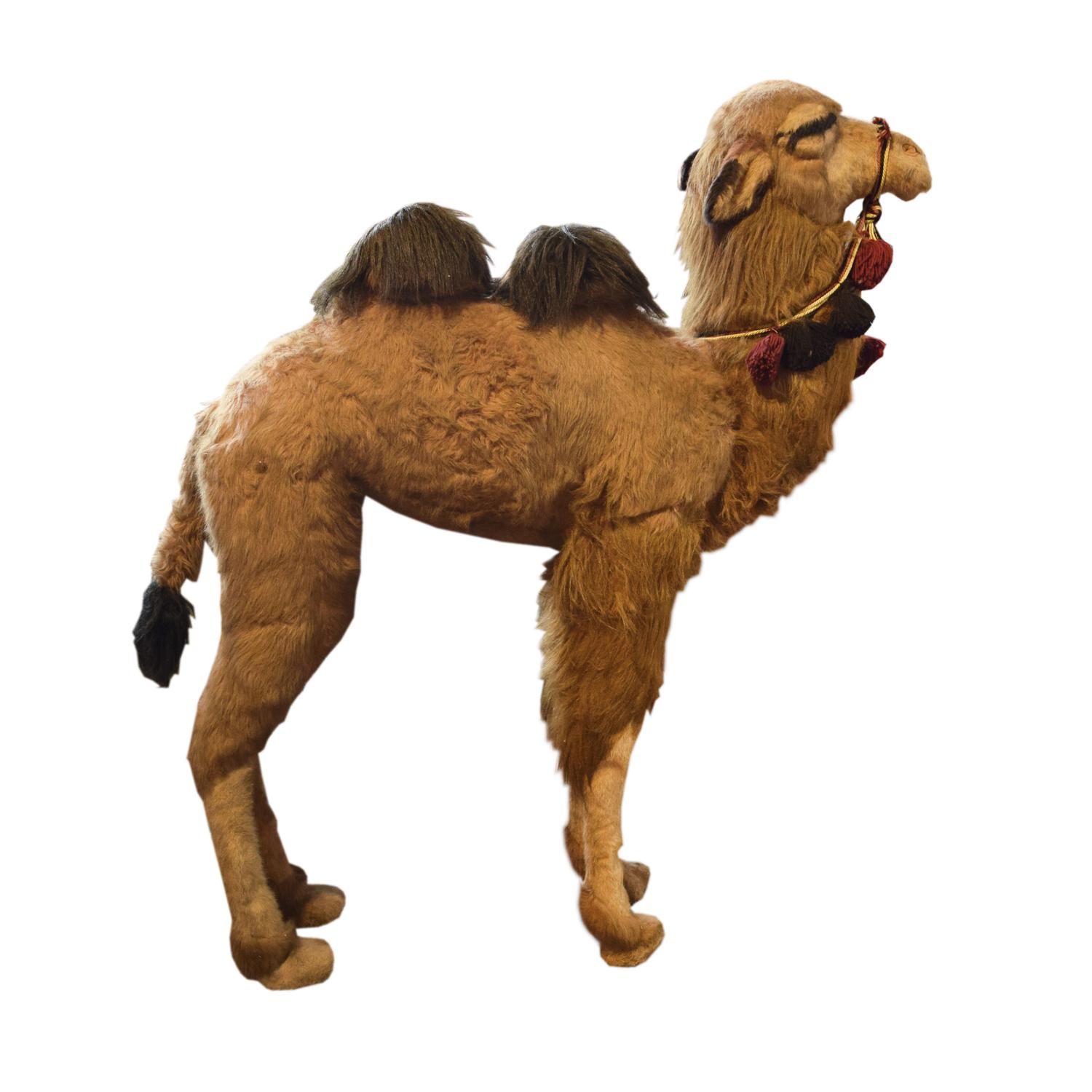 A Stuffed Toy Camel 44" W x 14" D x 55" H — France, Circa 1960