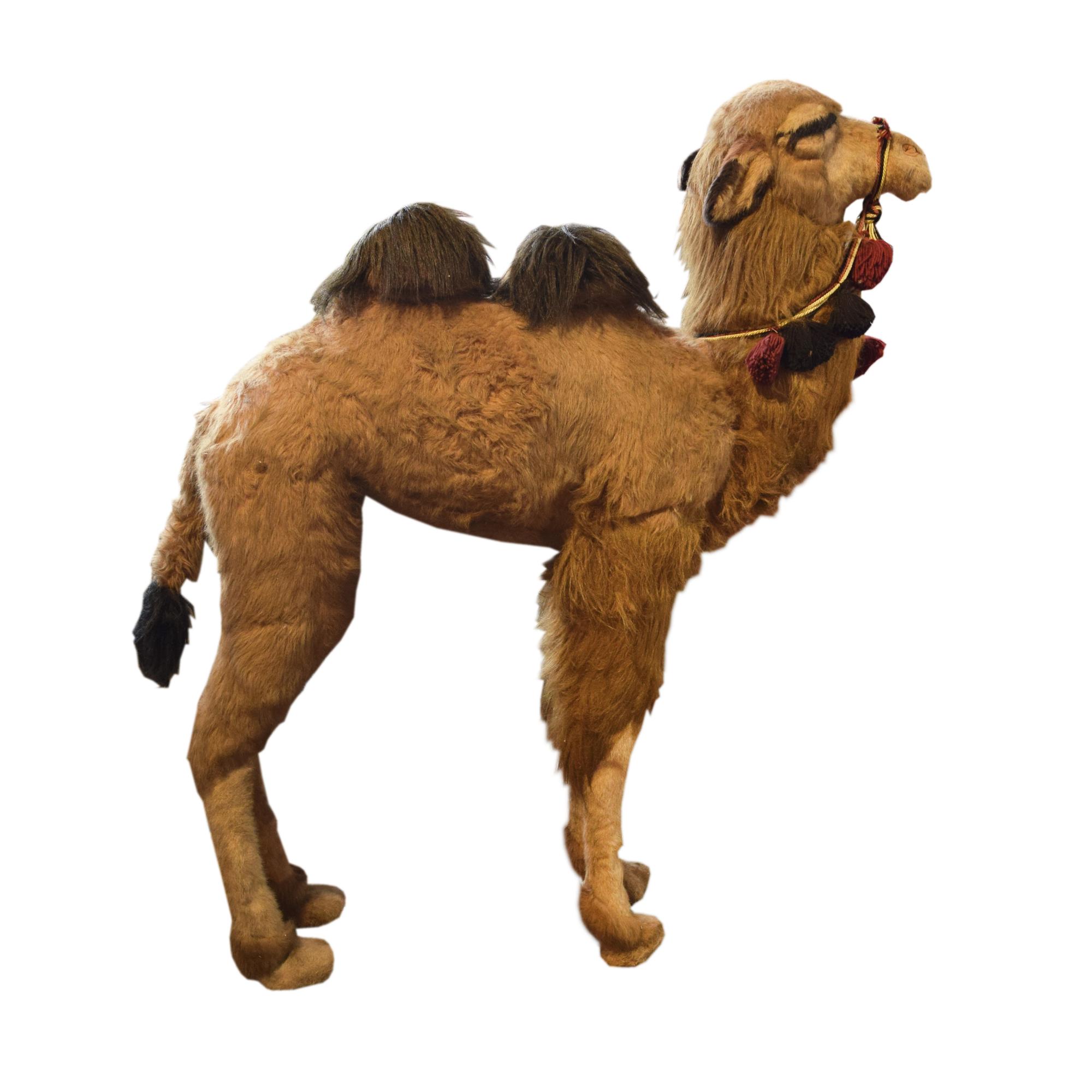 A Stuffed Toy Camel 44" W x 14" D x 55" H — France, Circa 1960