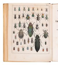 [ENTOMOLOGY & BEETLES]. A group of 47 works, comprising: