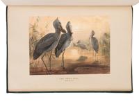 [NATURAL HISTORY]. WOLF, Joseph (1820-1899). Zoological Sketches... made for the Zoological Society of London, from animals in their vivarium, in the Regent's Park . Explanatory text by D.W. Mitchell and Philip Lutley Sclater. London: Henry Grave & Company, [1856-]1861-1867.