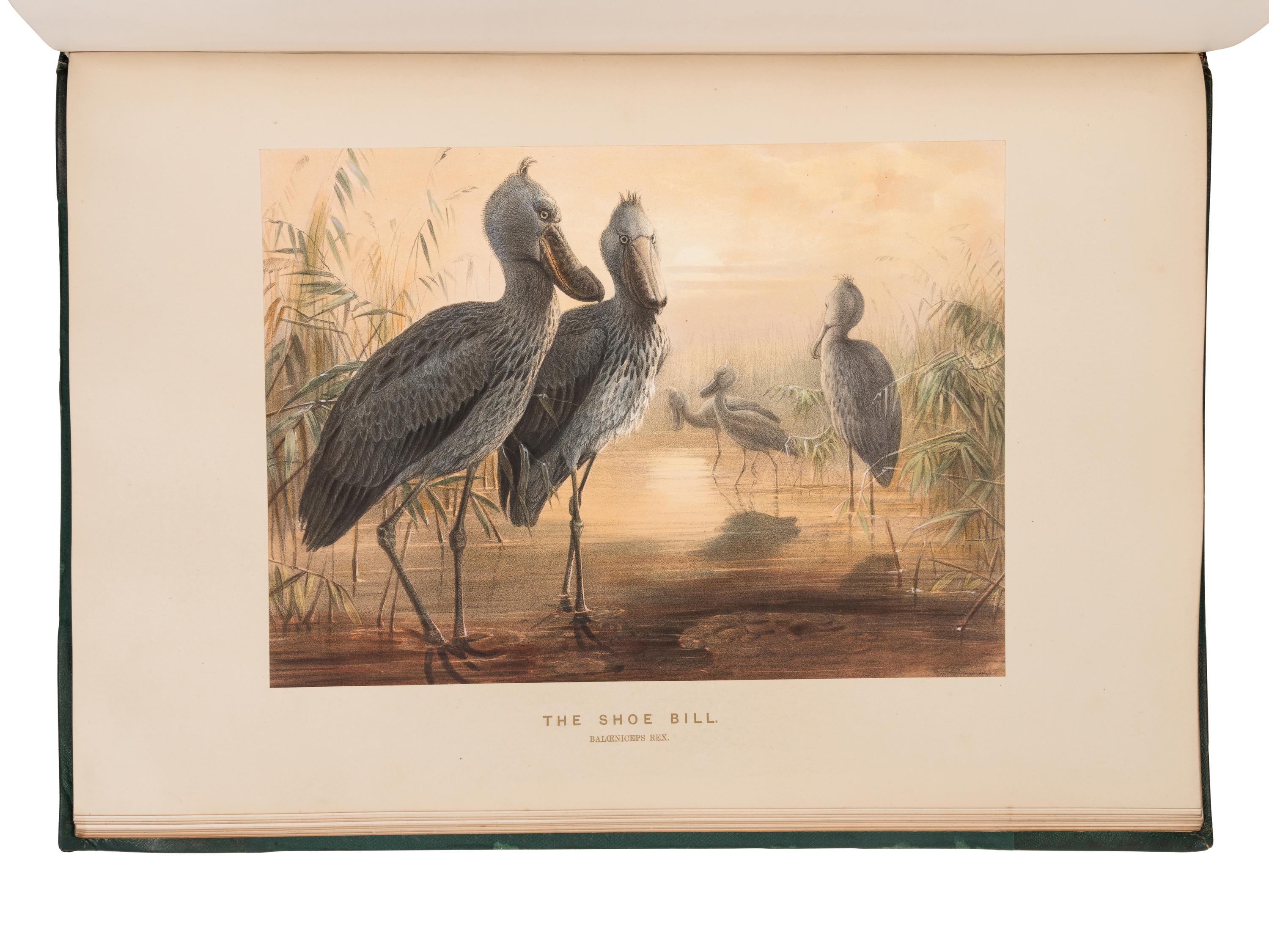 [NATURAL HISTORY]. WOLF, Joseph (1820-1899). Zoological Sketches... made for the Zoological Society of London, from animals in their vivarium, in the Regent's Park . Explanatory text by D.W. Mitchell and Philip Lutley Sclater. London: Henry Grave & Company, [1856-]1861-1867.