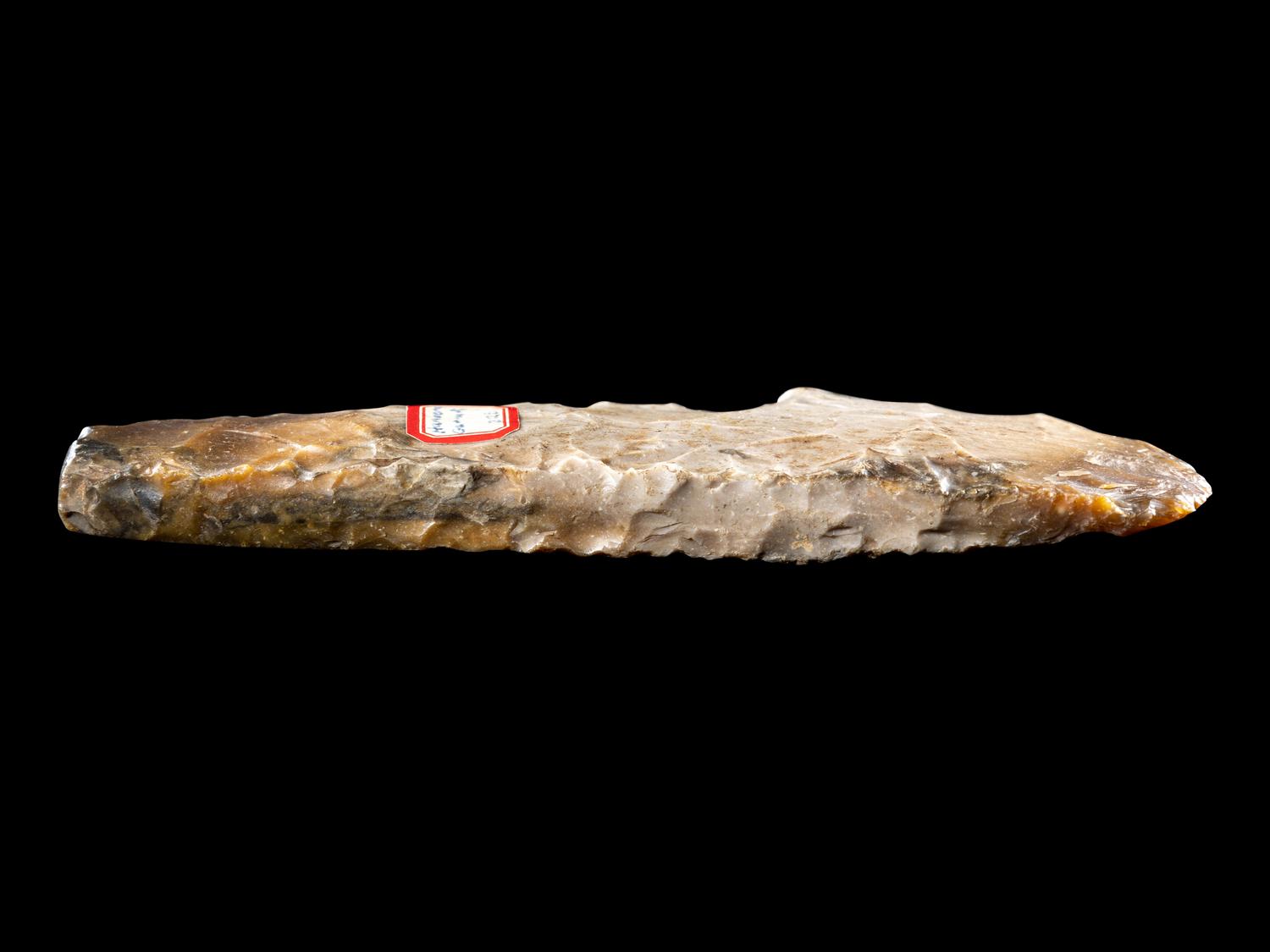 A Neolithic Flint Thin-Butted Axe