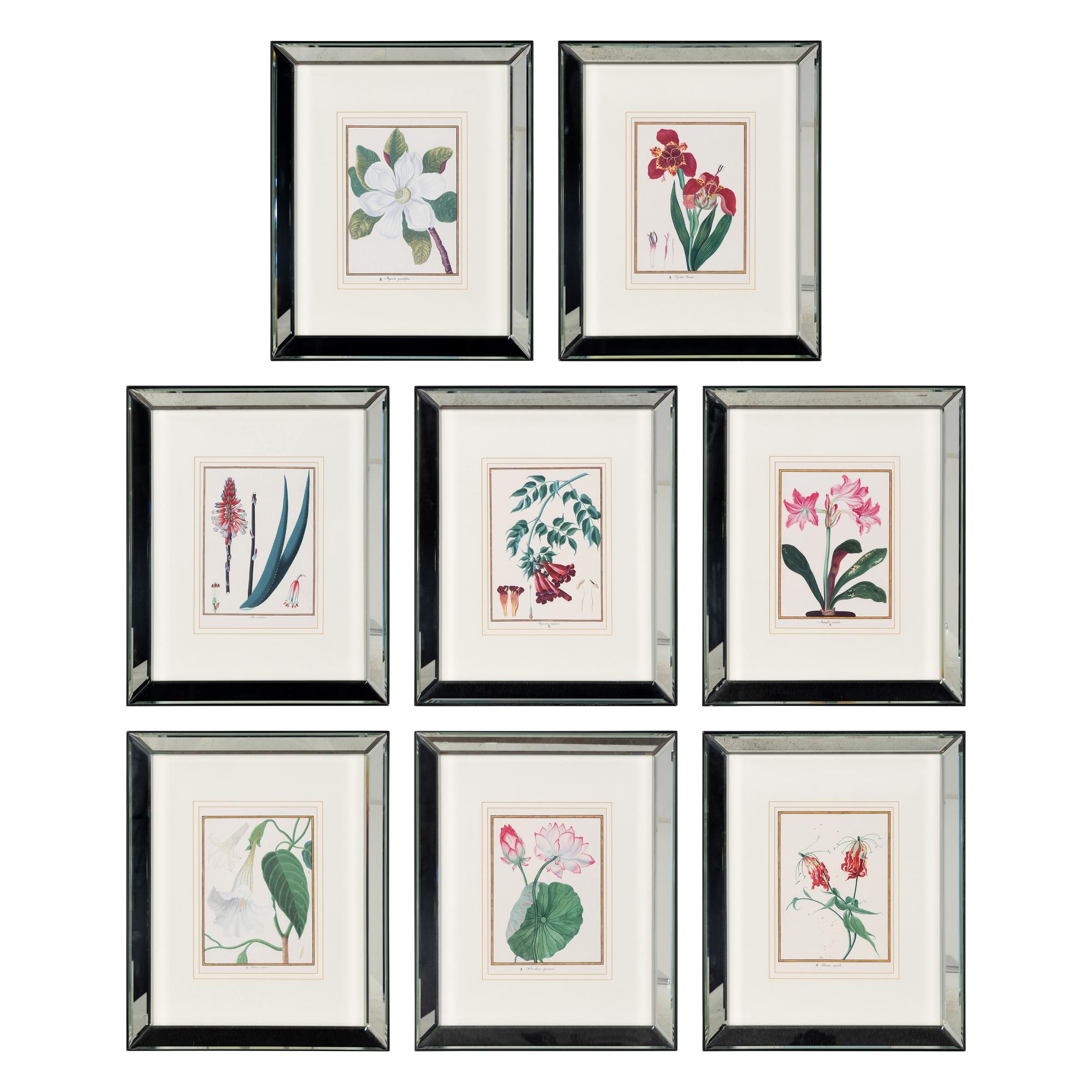 A Set of Eight Framed Botanical Prints