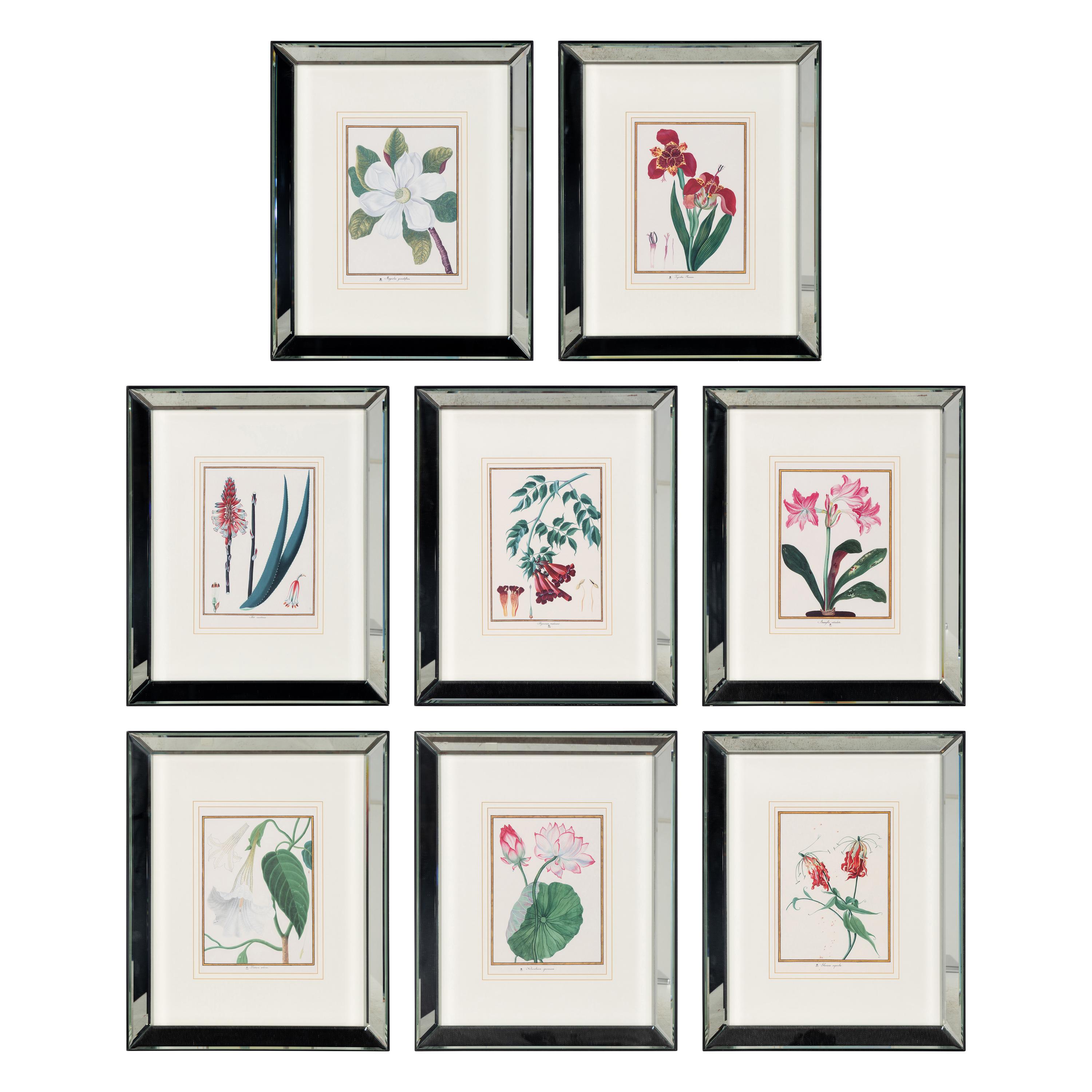 A Set of Eight Framed Botanical Prints