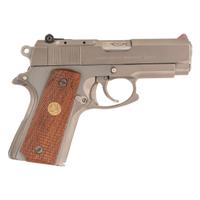 *Colt Combat Commander with LW Seecamp Trigger Update