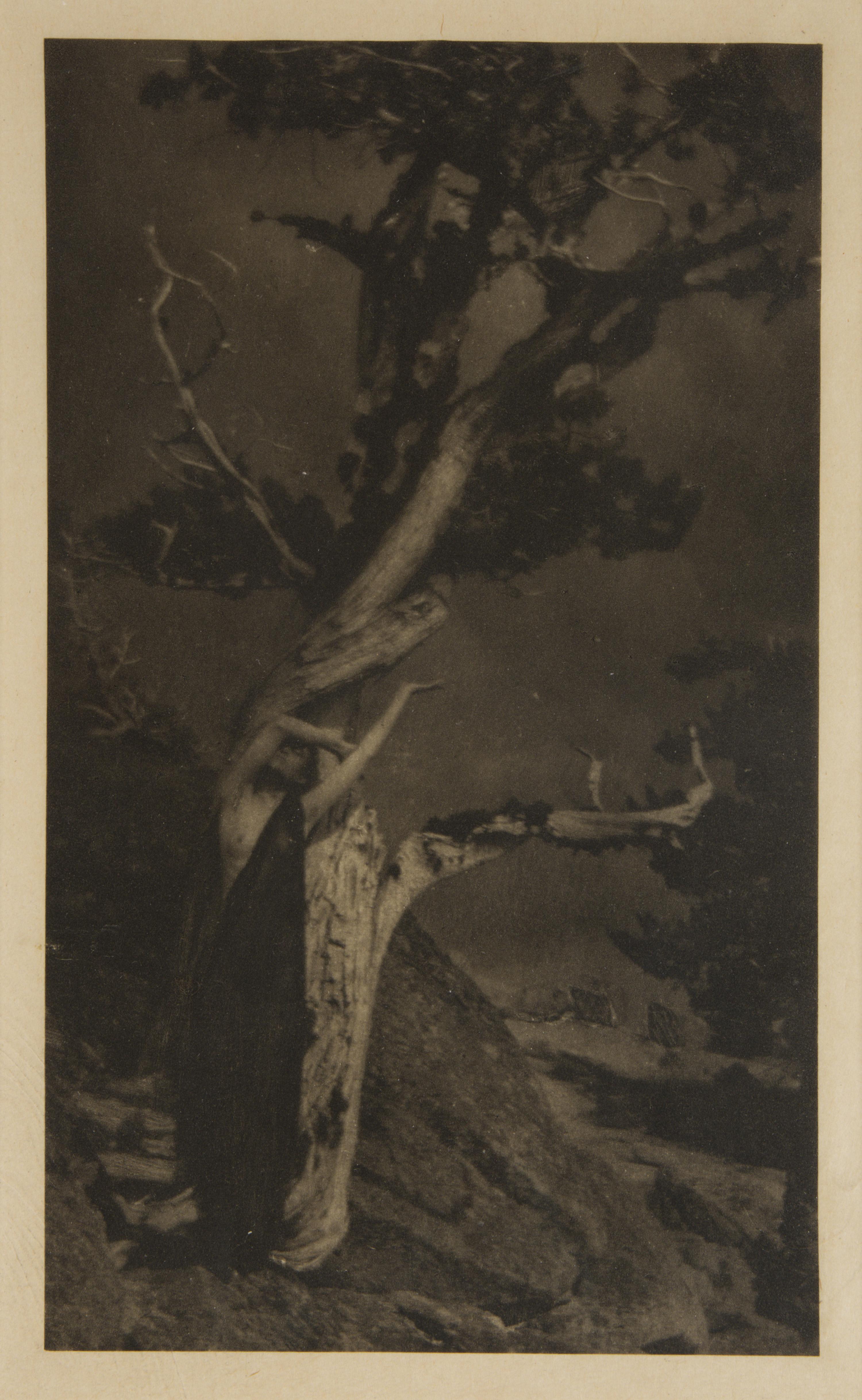 Printed Books & Early American Photography, including Selections