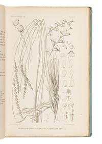 AMES, Oakes (1804-1873). A group of 7 works about orchids, including: