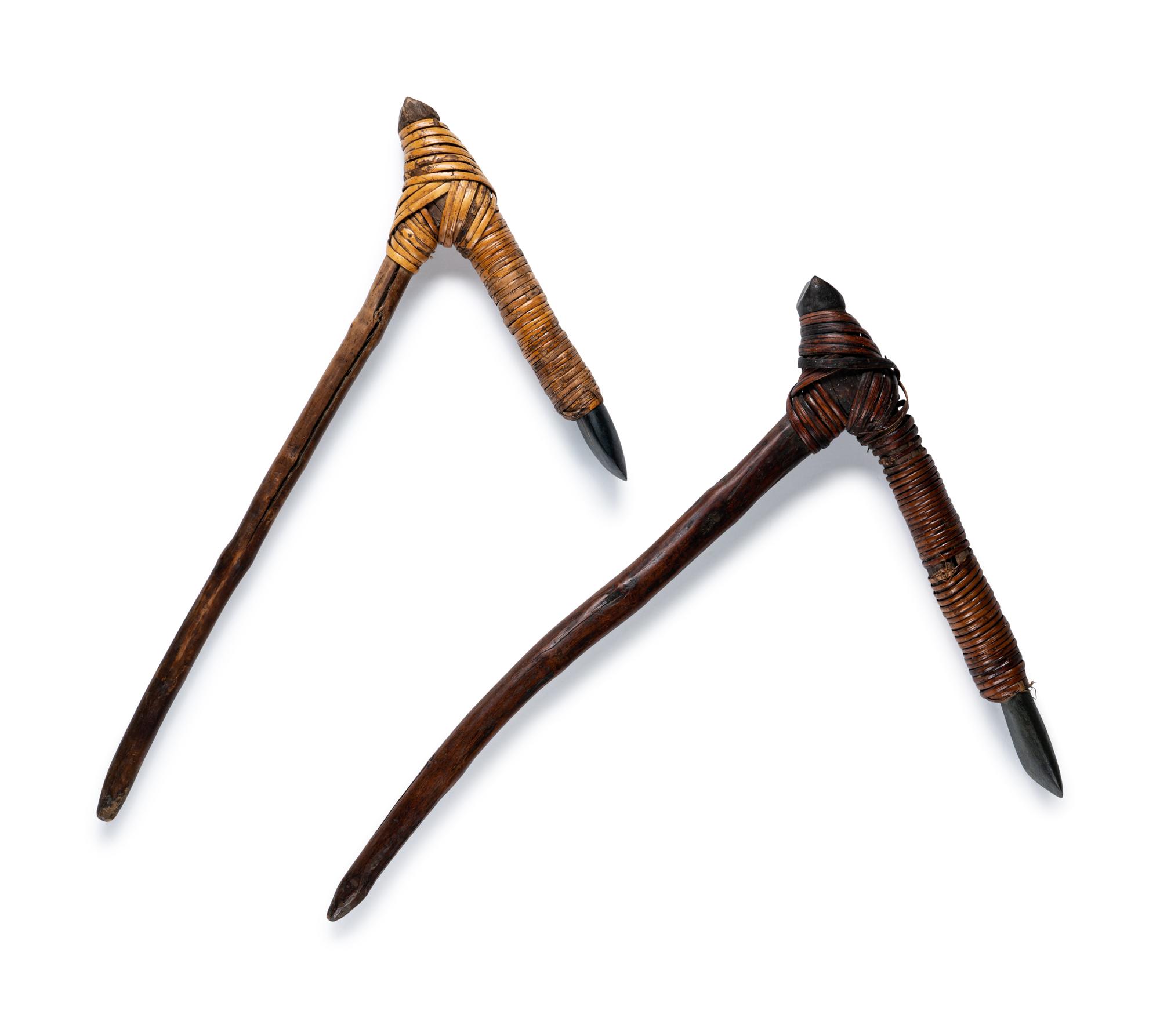 Two Asmat Adze