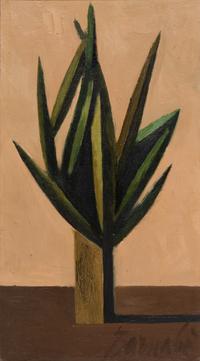 Plante Grasse