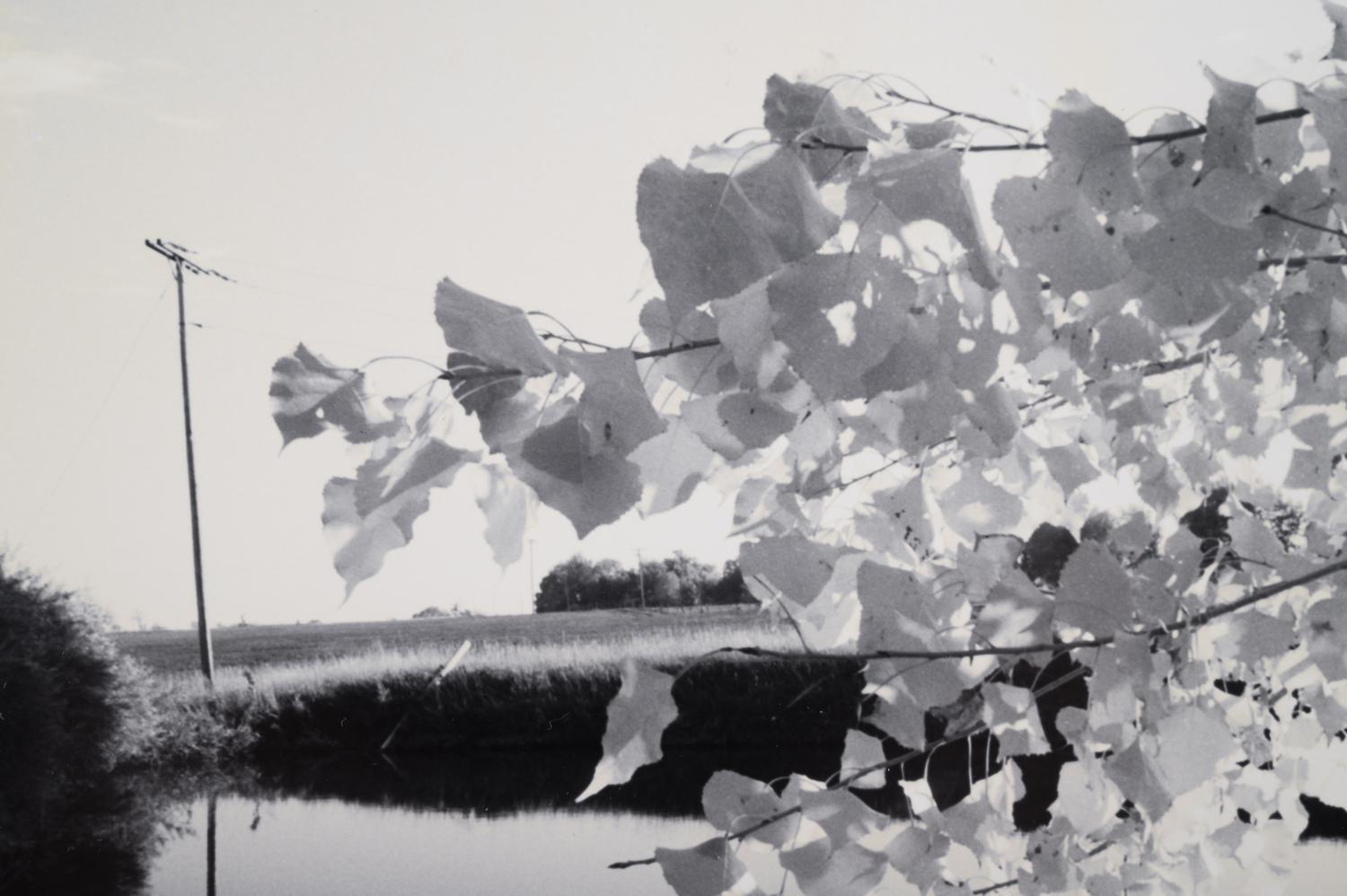 A group of three landscapes