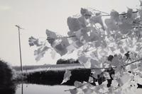 A group of three landscapes