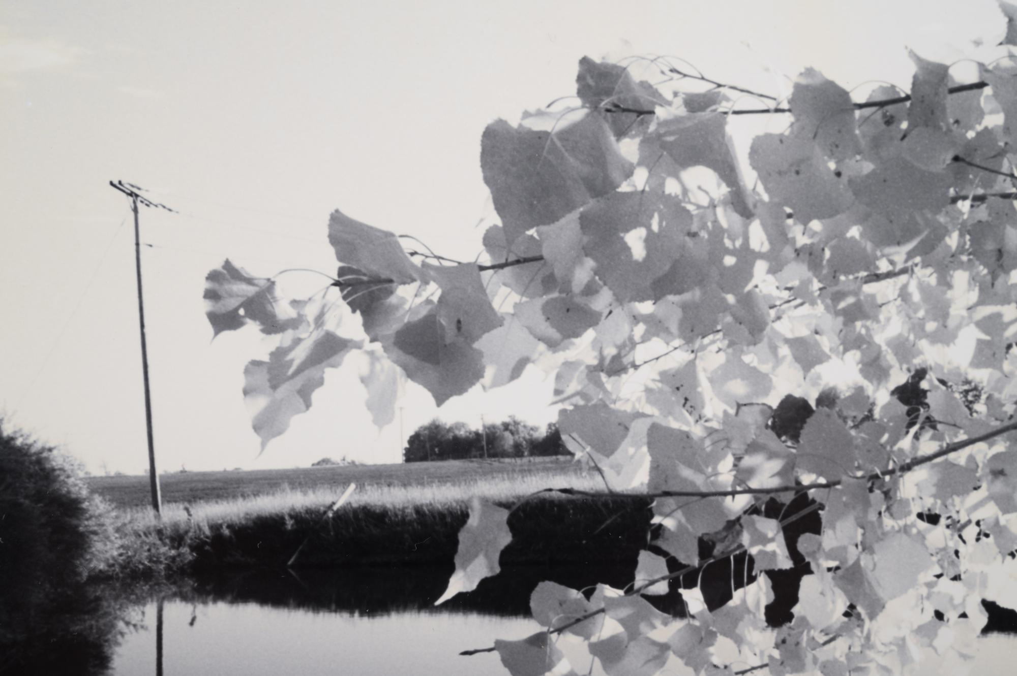 A group of three landscapes