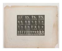 15 Plates from Animal Locomotion , 1887