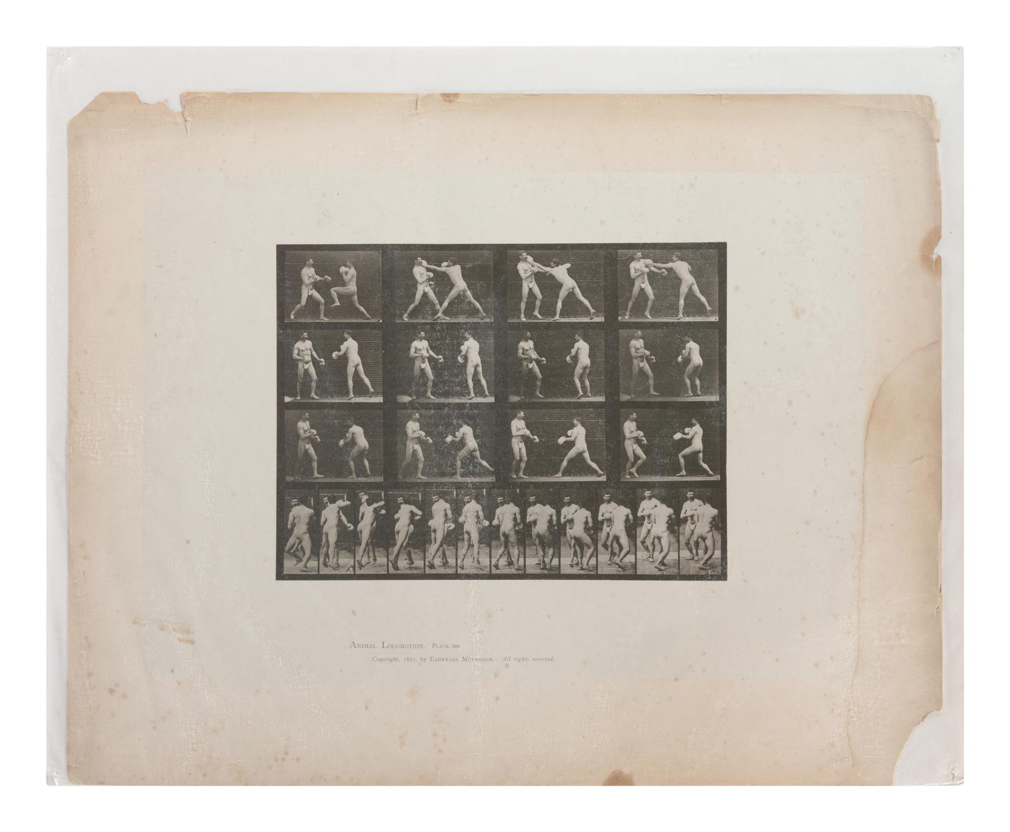 15 Plates from Animal Locomotion , 1887