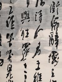 Wang Ziwu