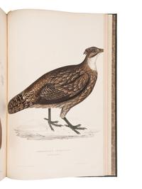 [NATURAL HISTORY]. GOULD, John (1804-1881) and Nicholas Aylward VIGORS (1787-1840). A Century of Birds from the Himalaya Mountains . London: [for the Author], 1831-[1832].
