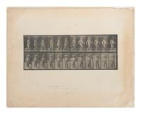 15 Plates from Animal Locomotion , 1887