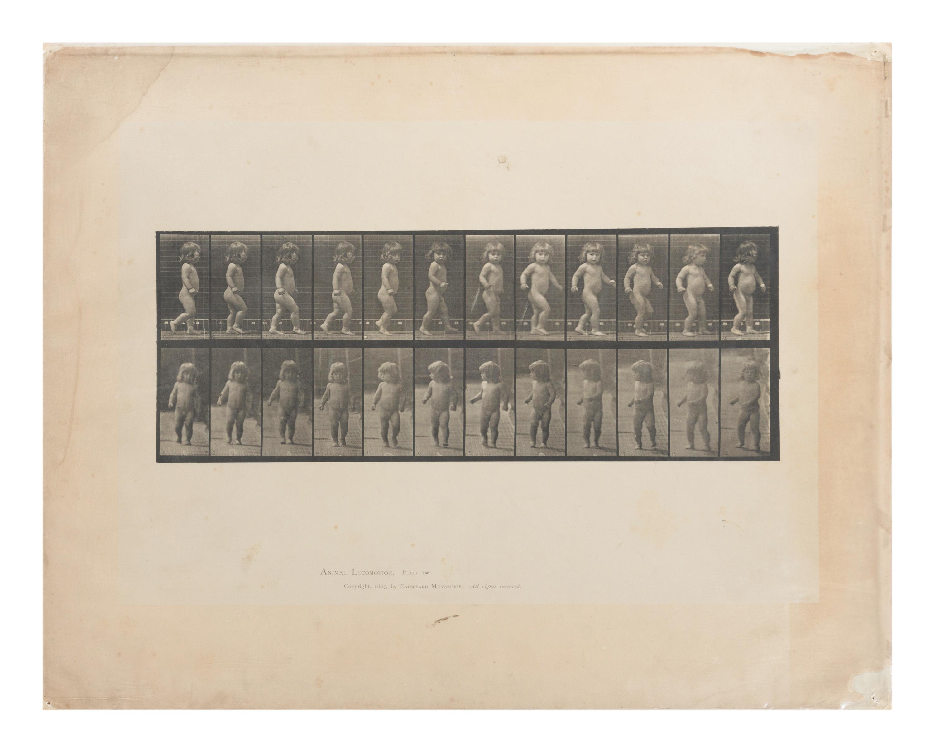 15 Plates from Animal Locomotion , 1887