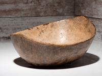Eastern Woodlands Elm Burl Bowl