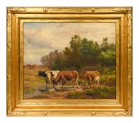Where the Cattle Linger