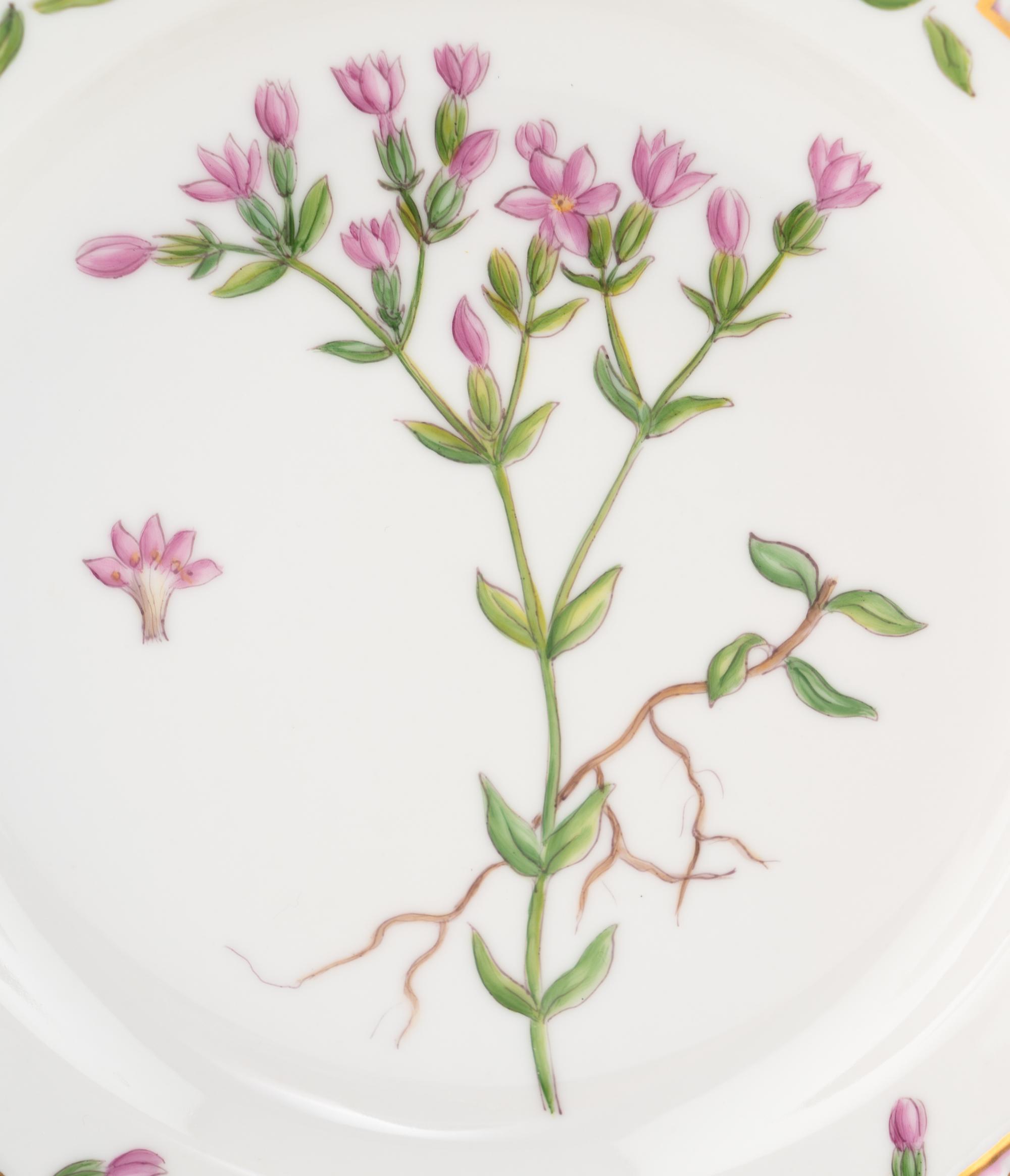 A Set of Eight Royal Copenhagen Flora Danica Porcelain Salad Plates