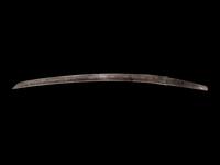 A Wakazashi