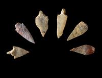 101 Neolithic Flint Points