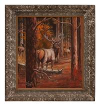 Woodland Stag