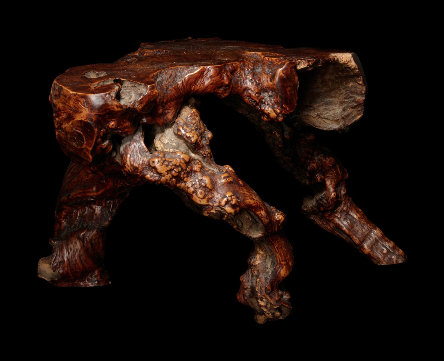 A Rootwood Tripod Stand