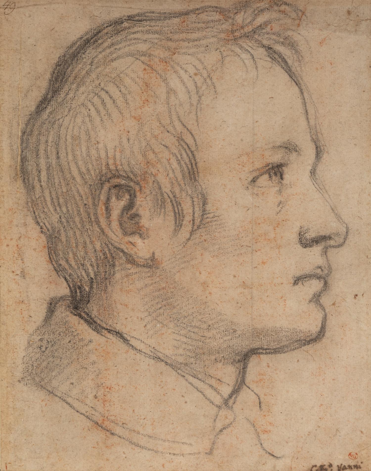 Portrait of a Young Man in Profile