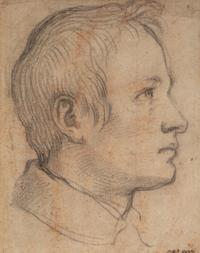 Portrait of a Young Man in Profile