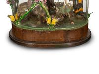 A Victorian Taxidermy Bird Diorama