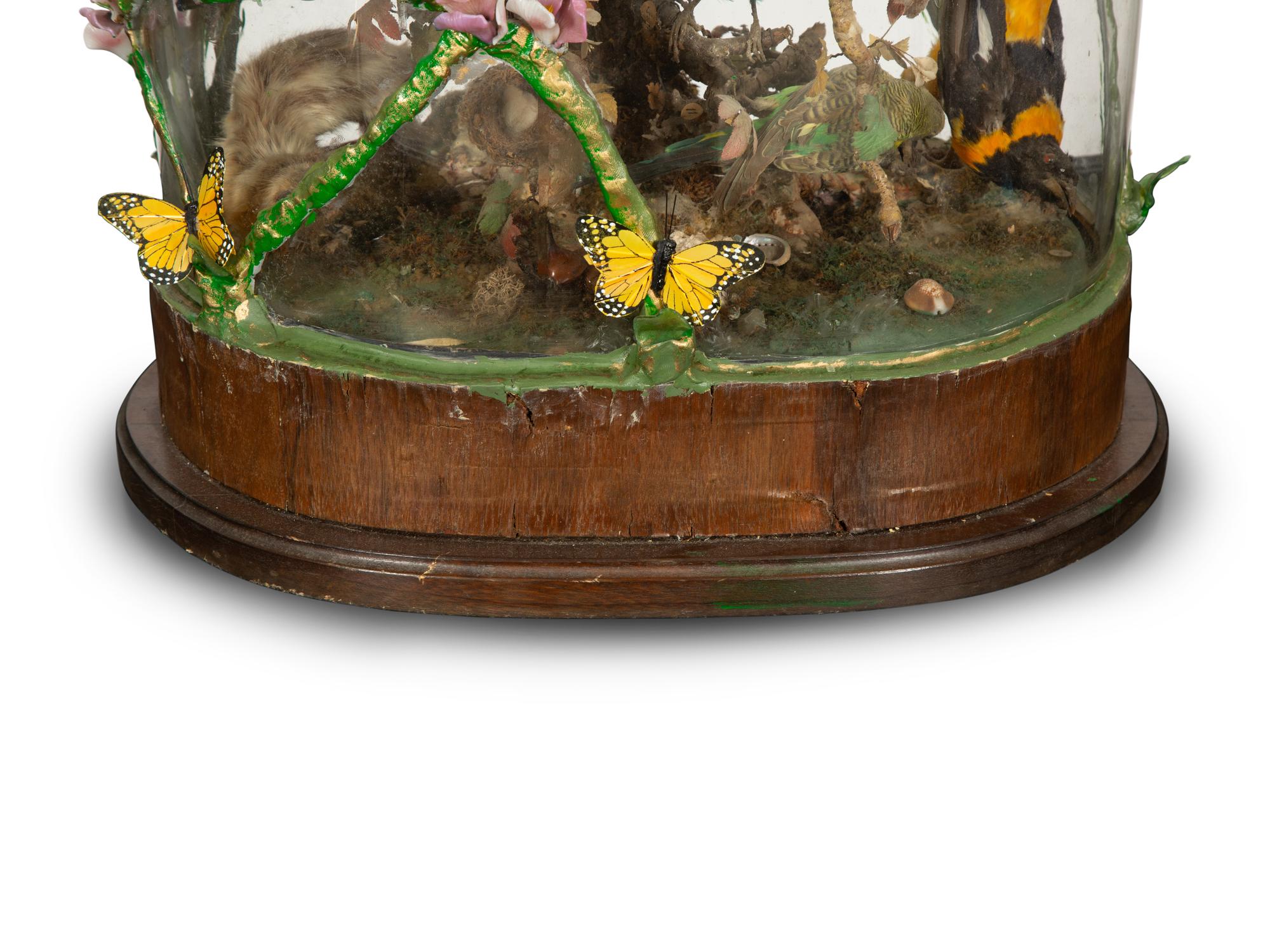 A Victorian Taxidermy Bird Diorama
