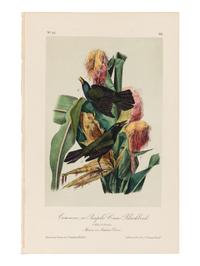 AUDUBON, John James (1785-1851), after. A group of 190 octavo-format lithographs, including:
