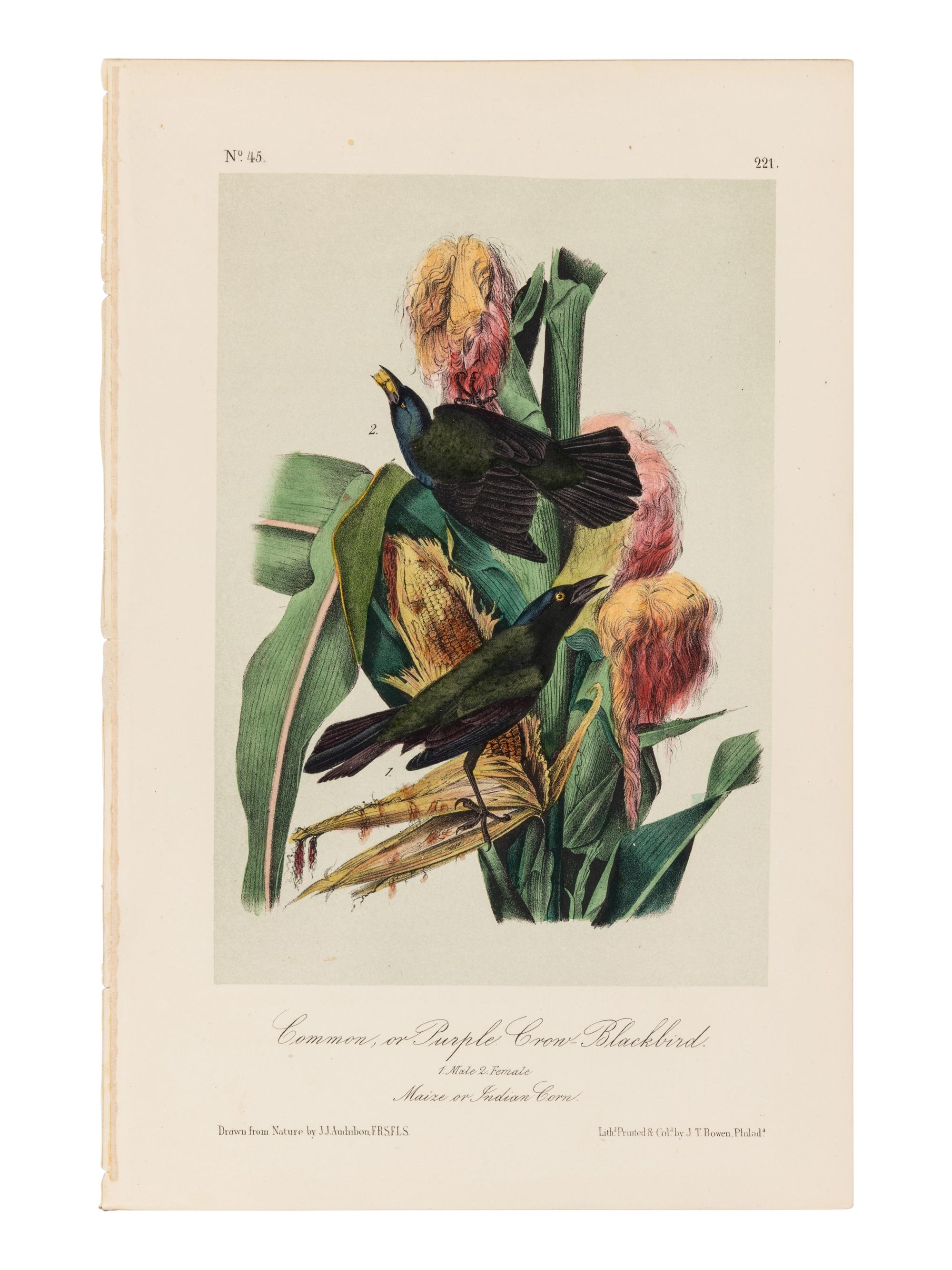 AUDUBON, John James (1785-1851), after. A group of 190 octavo-format lithographs, including: