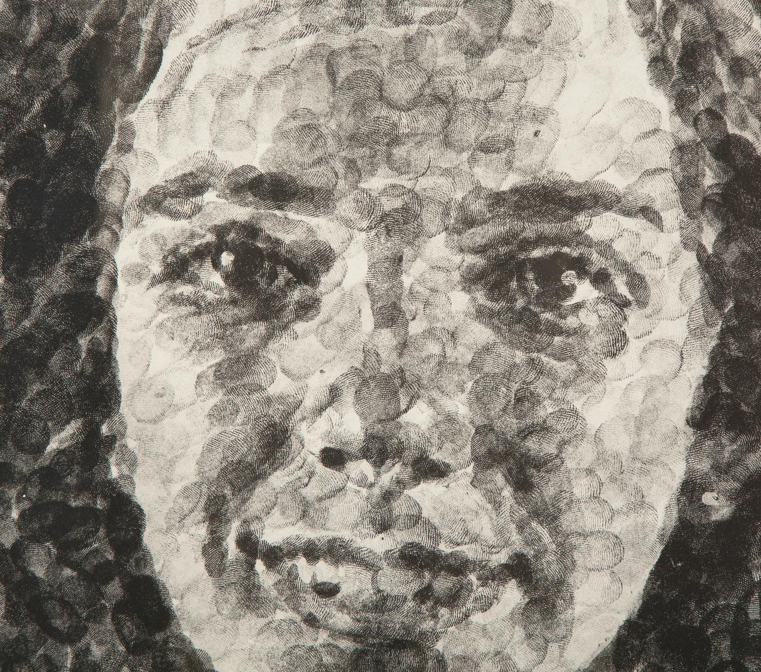 Georgia/Fingerprint II