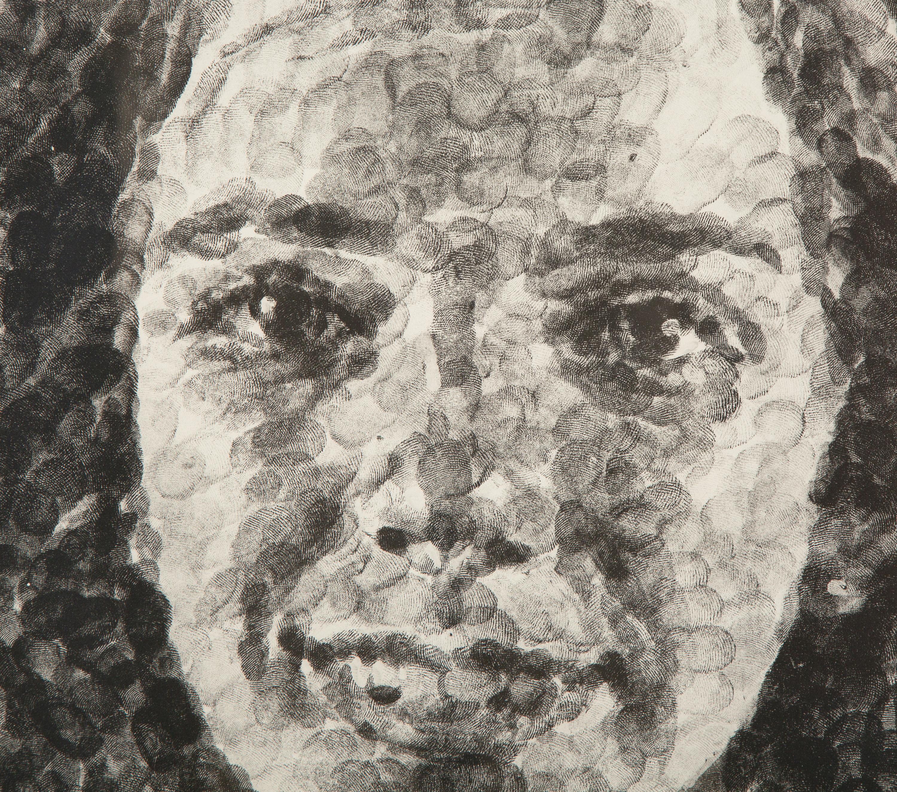 Georgia/Fingerprint II