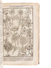 PARKINSON, John (1567-1650). Paradisi in sole Paradisus Terrestris. Or a Garden of all sorts of pleasant flowers . London: Humfrey Lownes and Robert Young, 1629.