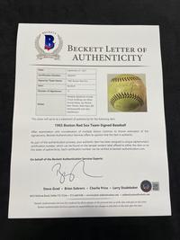 A 1965 Boston Red Sox Team Signed Autograph Baseball (BAS Beckett Authentication Services Certified),